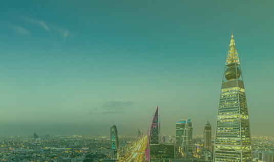 الريادة الرقمية ومستقبل الاستدامة