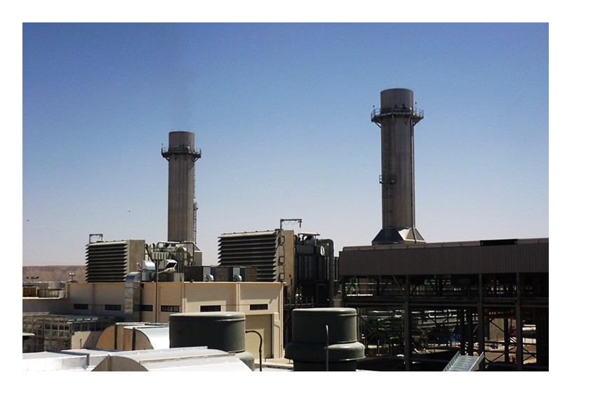 Faras Plant Project